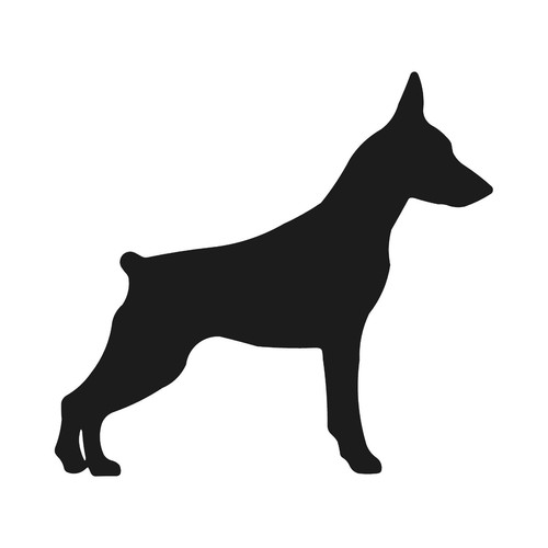 Adesivo miniatura pinscher - adesivo,