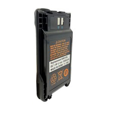 Batteria agli ioni di litio