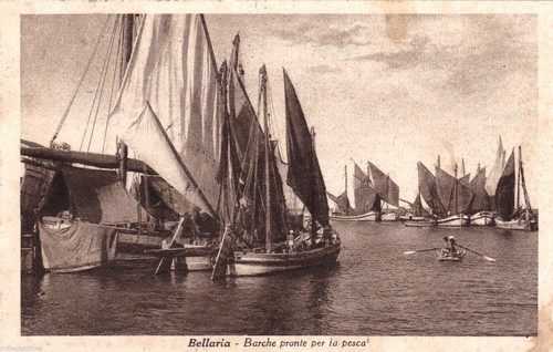 Bellaria boats ready - bellaria:,