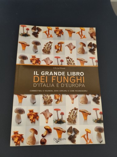 Libro grande dei - il,