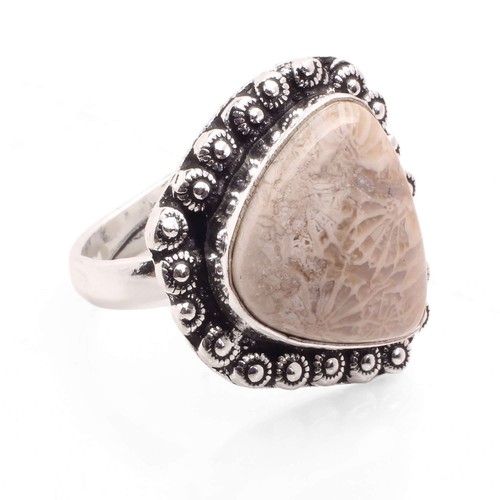Fossil corallo gemma placcato - fossil,
