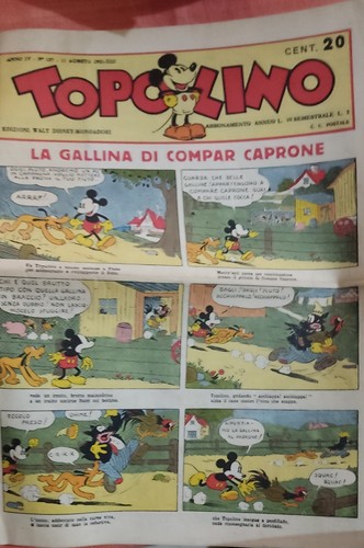 Copia anastatica topolino - copia,