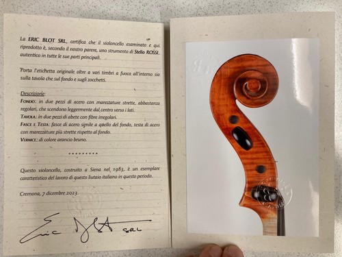 Violoncello stelio rossi - violoncello,