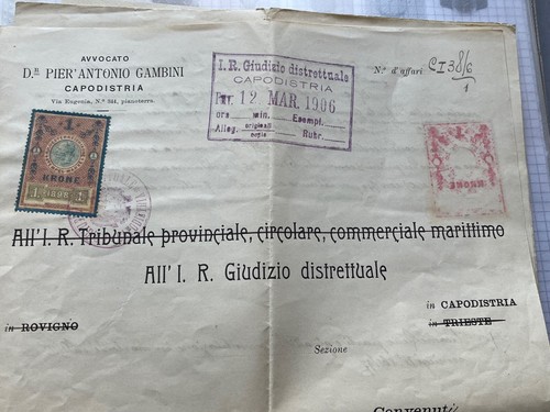 Petizione noto penalista - petizione,