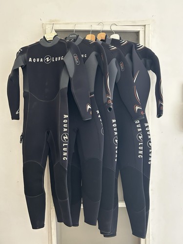 Muta scuba diving - diving, donna