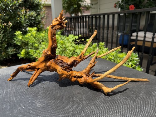 Driftwood ragno acquari pesci - driftwood,