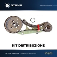 KIT CINGHI DISTRIBUZIONE
