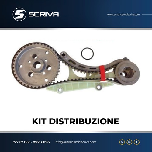 Kit cinghi distribuzione - cinghi,