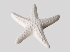 50 PEZZI Gessetto STELLA