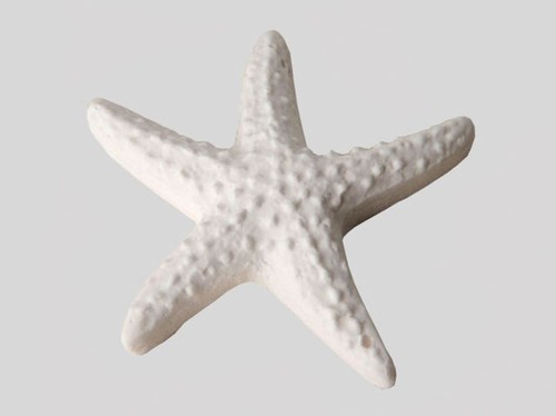 Pezzi gessetto stella - pezzi,