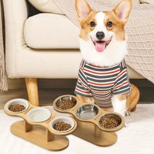 Ciotola rialzata per cani con