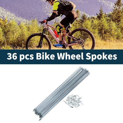 Raggi bici argento argilla - raggi,