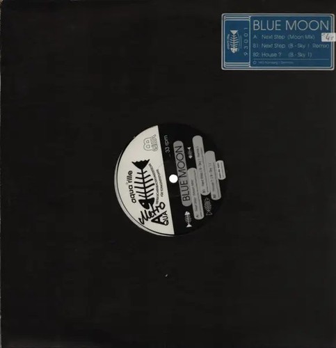 Blue moon next step - moon,