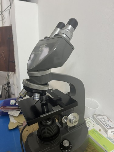 Microscopio ottico euromex - microscopio,