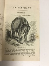 The Elephant Principally