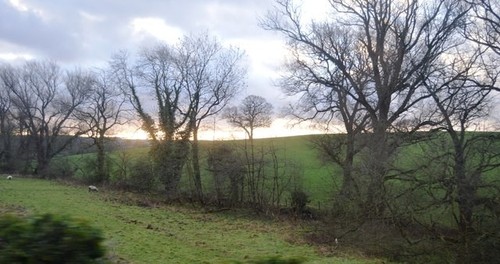 Photo 6x4 trees along - along, stream
