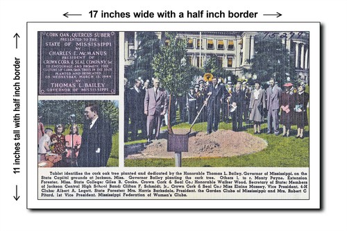 Mississippi anni - '40,