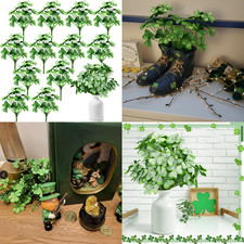 12 mazzi di piante di