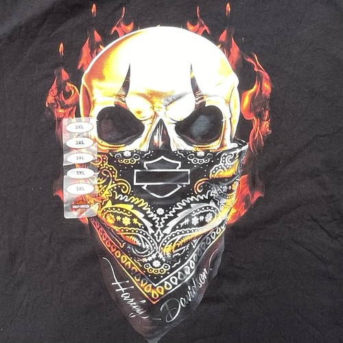 Harley davidson flaming - harley,