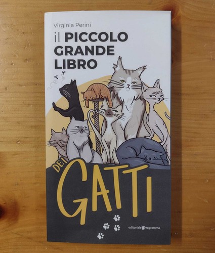 Piccolo grande libro dei - piccolo,