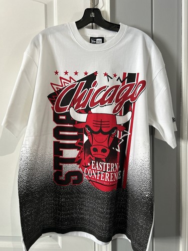 Chicago bulls nba basketball - chicago,
