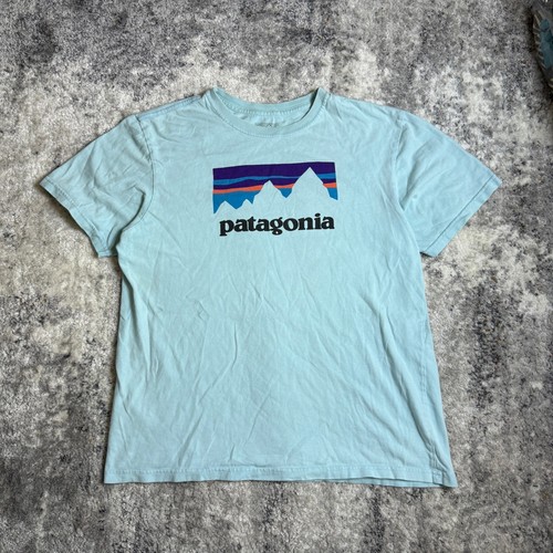 Shirt uomo patagonia fitz - patagonia,