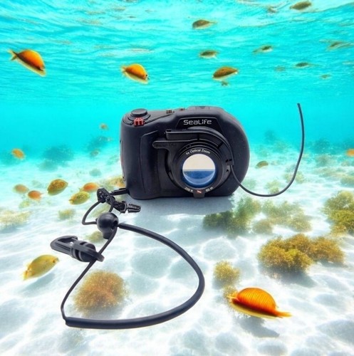 Alloggiamento fotocamera