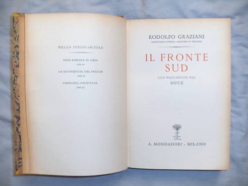 Wwii fronte sud - wwii,