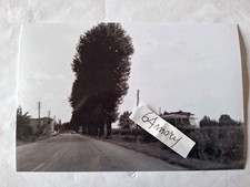 Fotografia  Ferrovie Vicentine F.V. Linea Vicenza Noventa Automotrice 026   