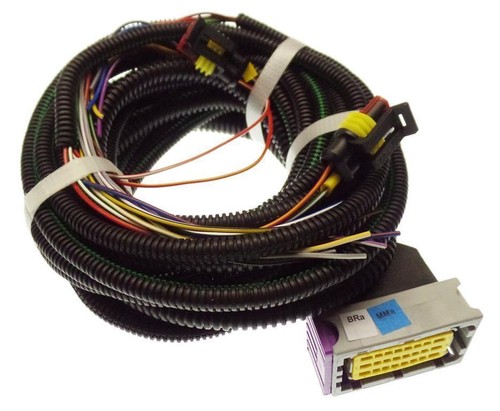 Cablaggio cilindri per kme - cablaggio, 6