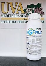 BIG FRUIT LT 1 Biostimolante con fitormoni naturali auxine citochinine