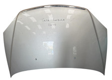 COFANO ANTERIORE TATA INDICA
