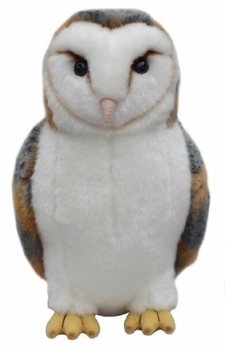 Barn owl orsacchiotto - owl,