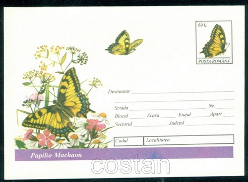 Farfalla 1994 coda - coda, rondine
