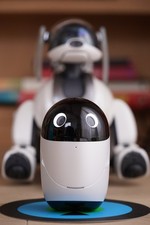 Sony POIQ Entertainment Robot (AIBO Companion) | CER-1000 | Limited Prototype