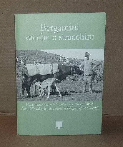 Bergamini vacche stracchini - vacche,