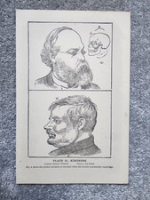 Kindness - Phrenology -