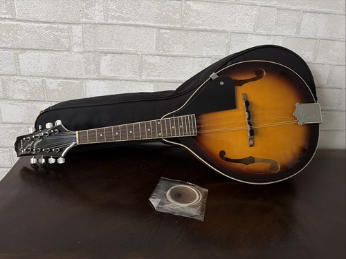Donner dml style - style, mandolin