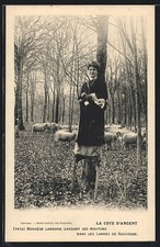 CPA La Cote D´Argent