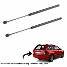 2  MOLLE A GAS PISTONI