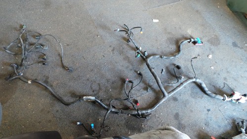 Cablaggio ecu motore ford - cablaggio,