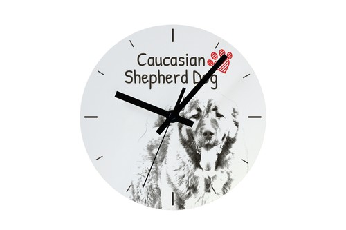 Cane pastore del caucaso - del,
