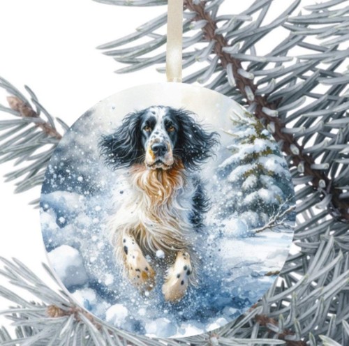 Setter inglese cane regalo