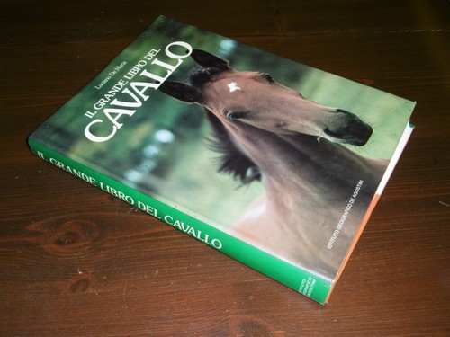 Libro cartonato grande - libro, "il