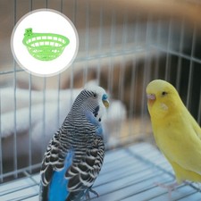 6 Pcs Plastic Bird Nests