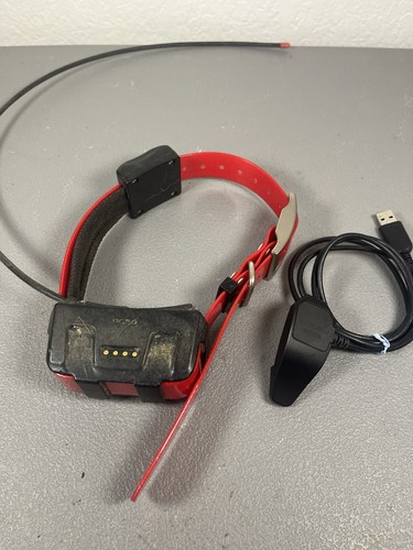 Garmin dc50 collare - garmin, di