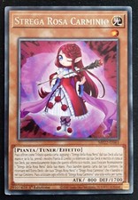 STREGA ROSA CARMINIO Rara in
