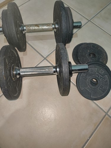 Manubri pesi regolabili - regolabili,