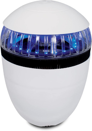 Mosquit over lampada - ,,