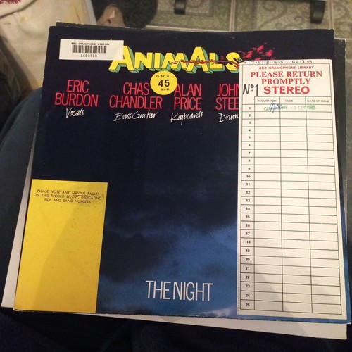 Animals the night - -,